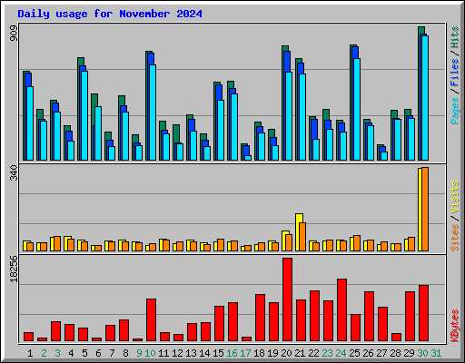 Daily usage for November 2024