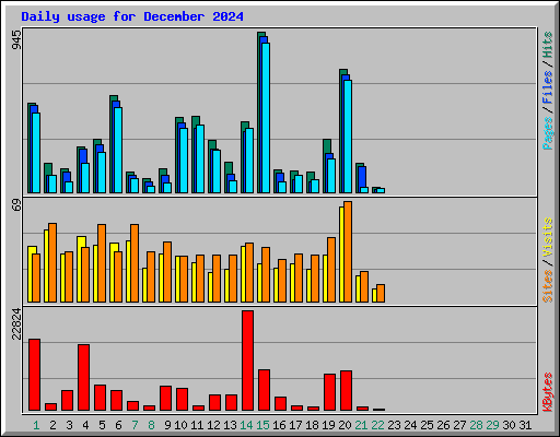 Daily usage for December 2024