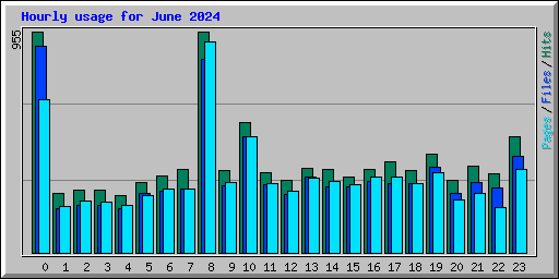 Hourly usage for June 2024