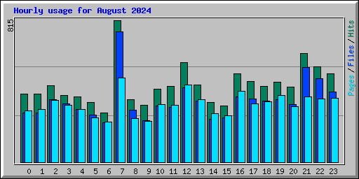 Hourly usage for August 2024