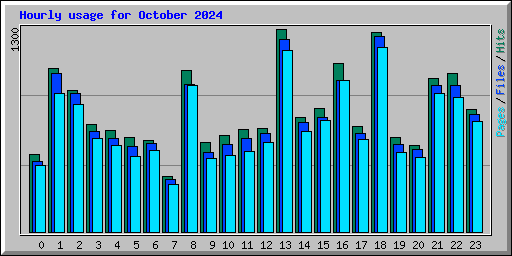 Hourly usage for October 2024