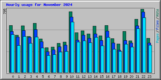 Hourly usage for November 2024