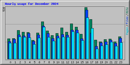 Hourly usage for December 2024